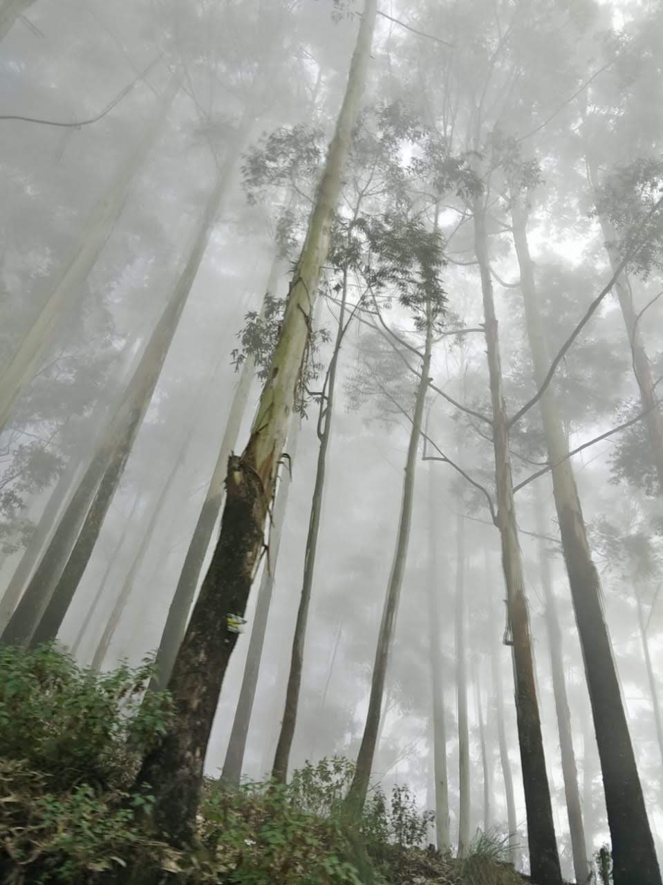 Featured Post Image - Quote from Once Upon A River