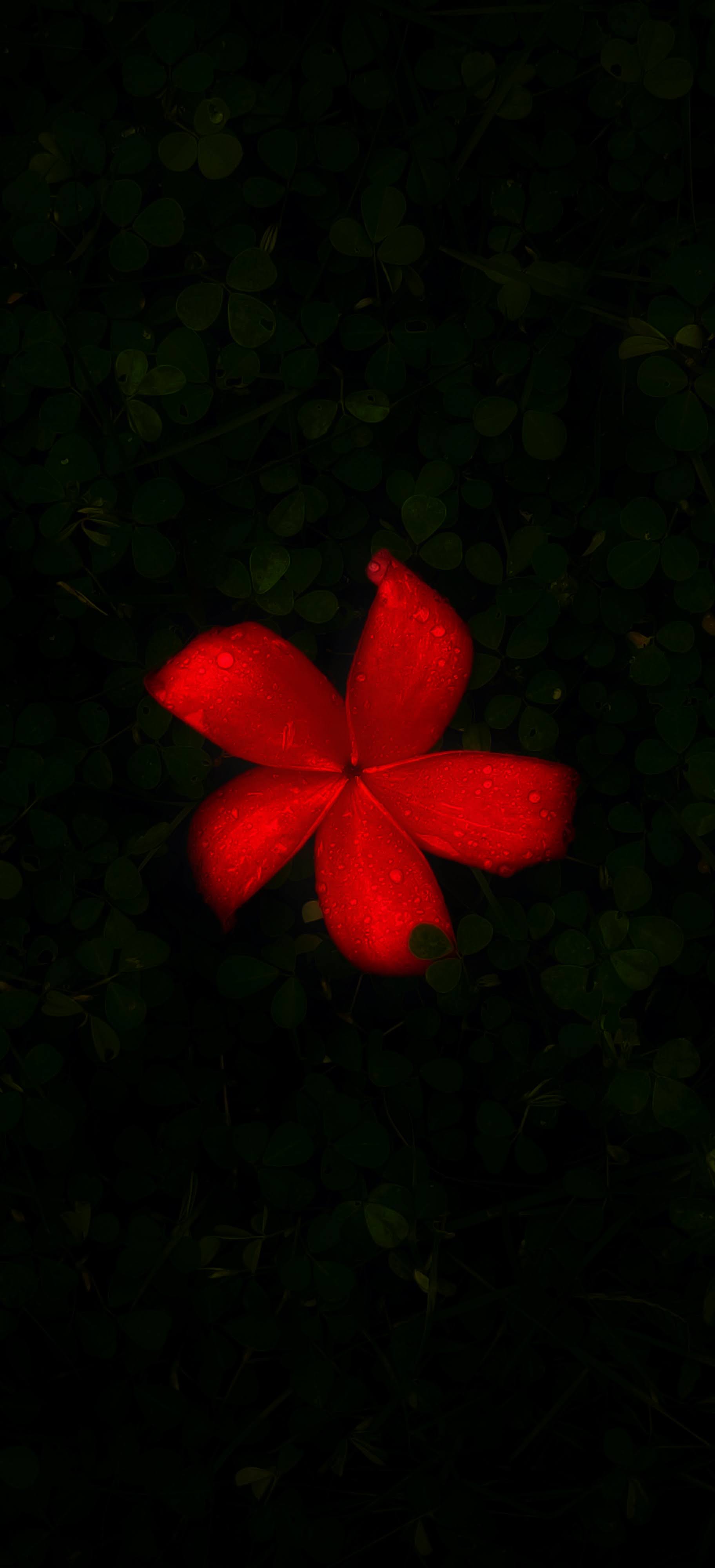 Featured Post Image - #THANKYOU #BOOKBLOGGERS #BLOGGINGCOMMUNITY