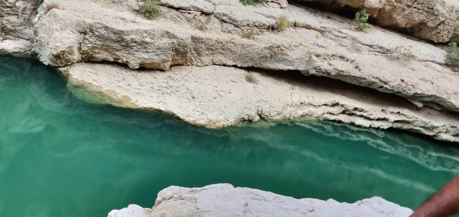 Featured Post Image - The Neighbor by Lisa Gardner #Quotes #DDWarren #Mystery #Thriller #Suspense #Murder