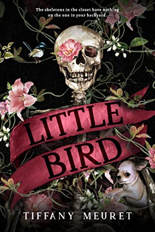 Featured Post Image - Little Bird by Tiffany Meuret #BookReview #DarkFantasy #Horror #LittleBird @NetGalley @ibpa