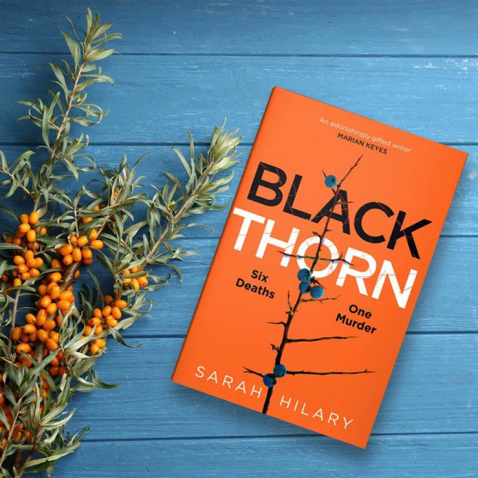 Featured Post Image - Black Thorn by Sarah Hilary #BookReview #MysteryThriller #CrimeThriller #Crime #BlackThorn @NetGalley @panmacmillan